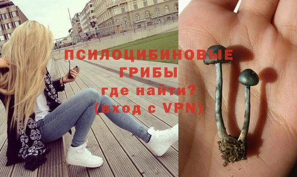 прущие грибы Абдулино