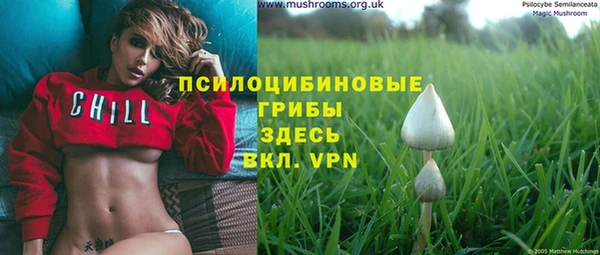 прущие грибы Абдулино
