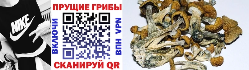 Псилоцибиновые грибы Magic Shrooms  MEGA маркетплейс  Нефтеюганск 